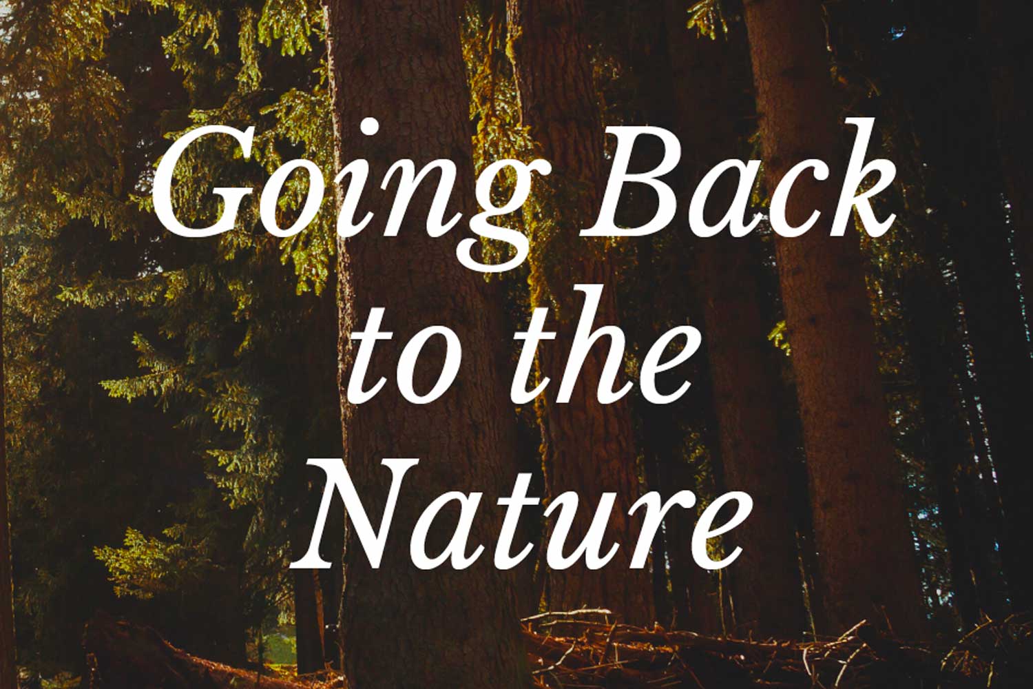 Going Back to the Nature WAC Blog